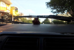 Tata Safari cleaned with ZESSTA Products